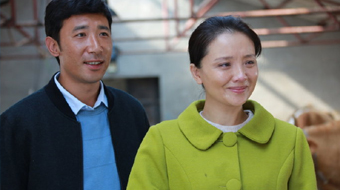 枫叶红了