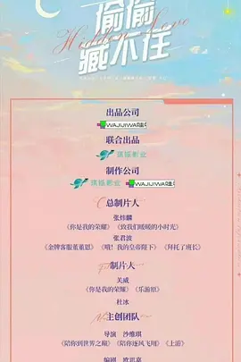 偷偷藏不住